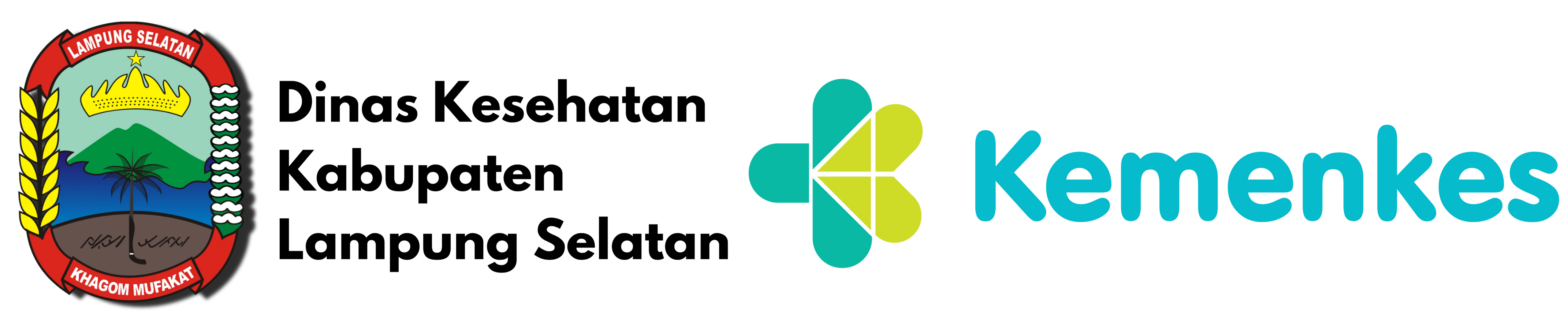dinkes.lampungselatankab